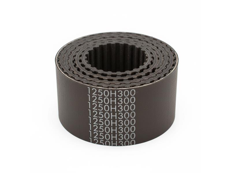 1250H300 by CONTINENTAL AG