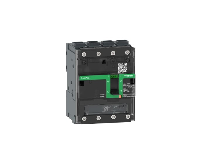 SCHNEIDER ELECTRIC C12N6TM125L