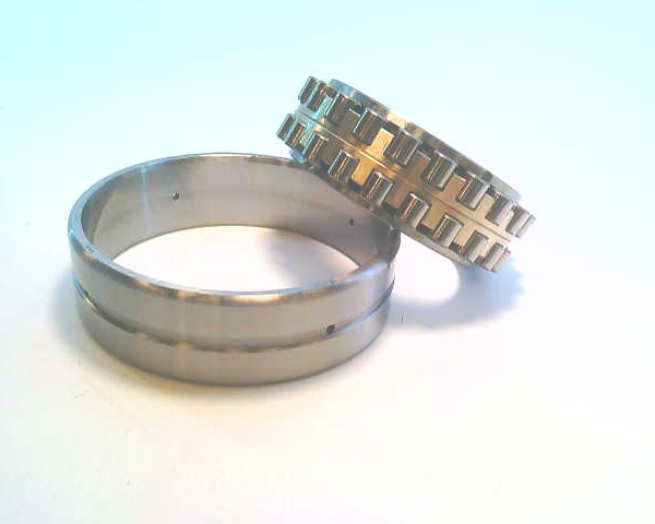 SCHAEFFLER GROUP NN3009-AS-M-SP