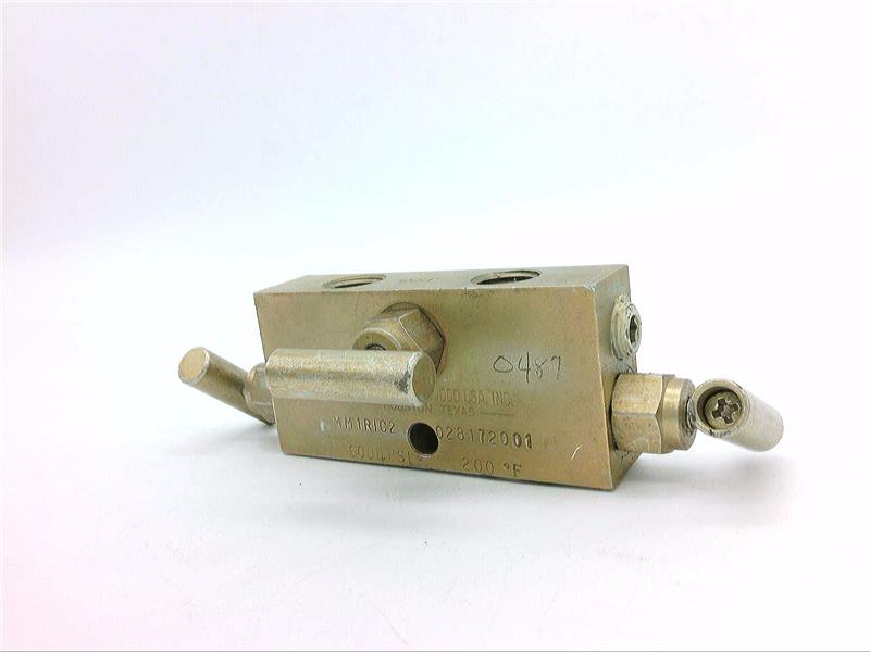 MM1RICS028172001 by PENTAIR