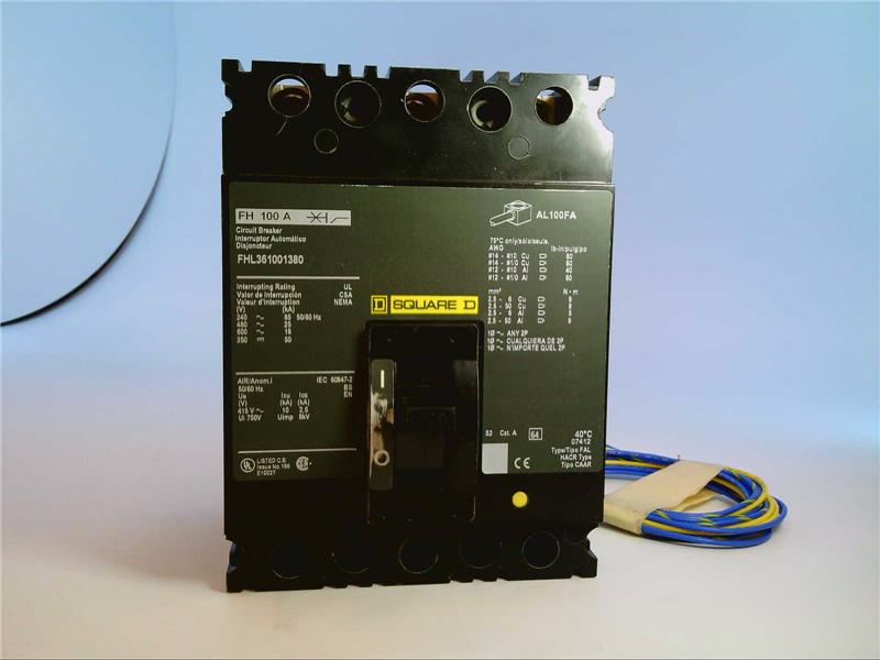 SCHNEIDER ELECTRIC FHL361001380