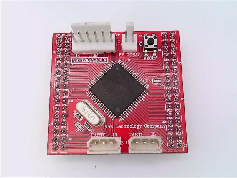 NEW TECHOLOGY COMPANY AM-128RAM