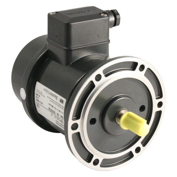 BAUMER ELECTRIC TDP0,2 LT-4 B10 55 + FSL1