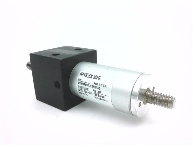 10217A2806 by WATLOW