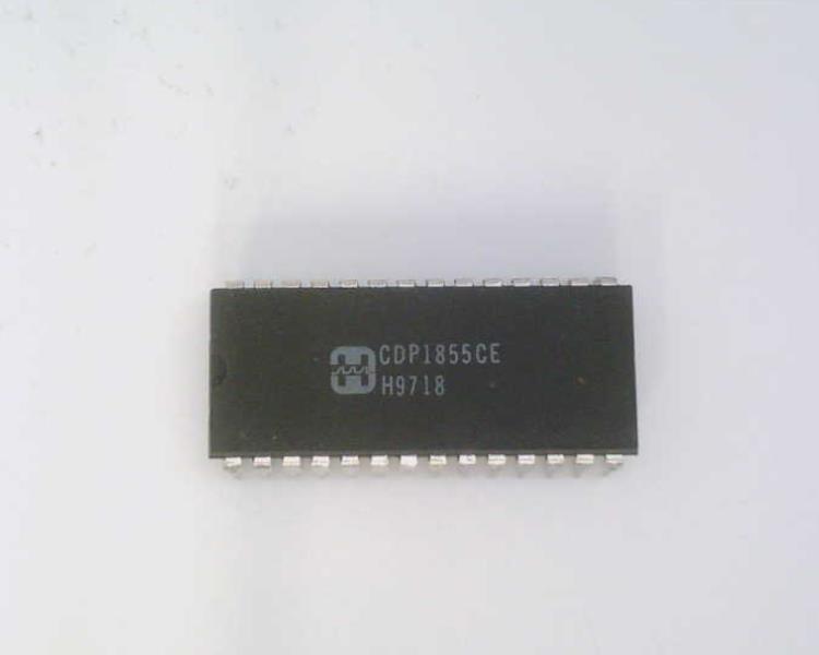 INTERSIL CDP1855CE