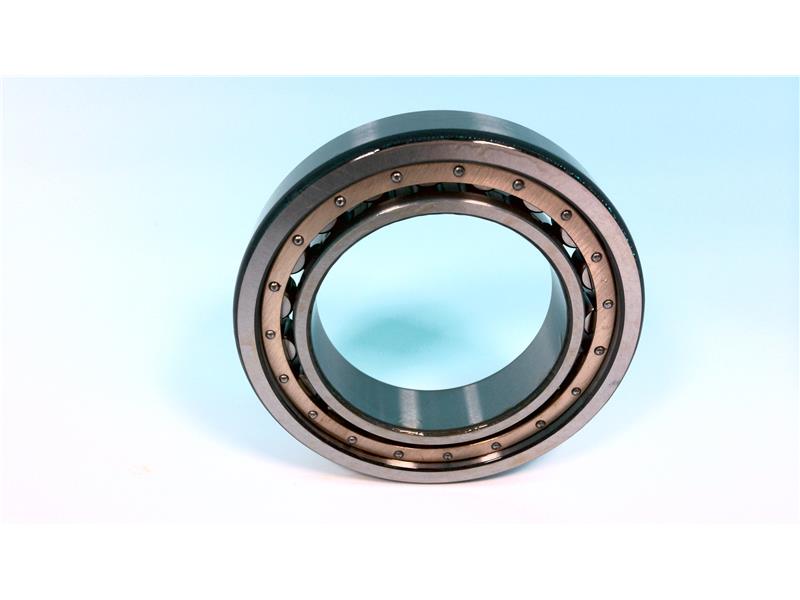 NSK NU1010CCG5P5YU17