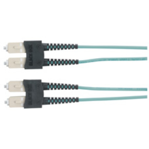 BLACK BOX CORP EFNT010-002M-SCSC