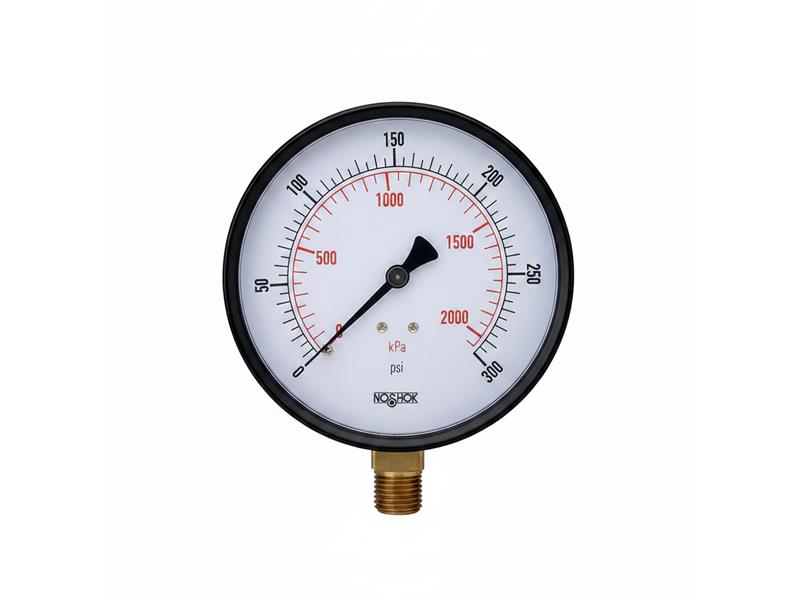 20-110-100-PSI/KPA-BLFF-CC by NOSHOK
