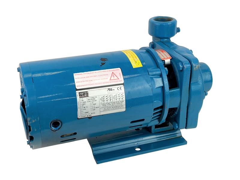 CRANE PUMPS & SYSTEMS INC 310G5-1-1/4