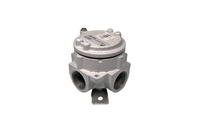 CORTEM GROUP SX24.1N