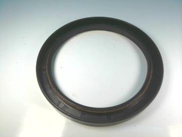 TIMKEN 100X125X12