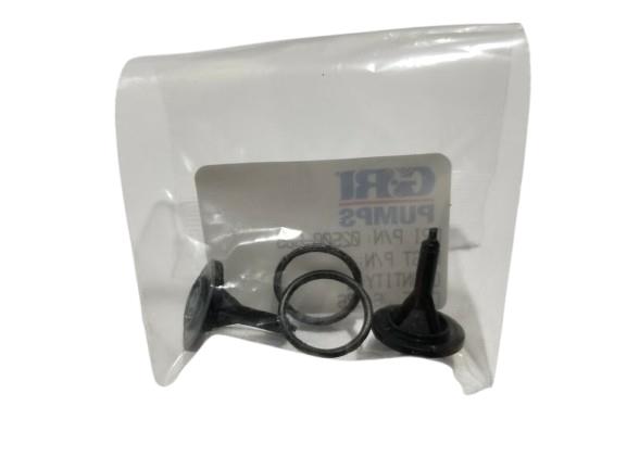 GORMAN RUPP 02500-925