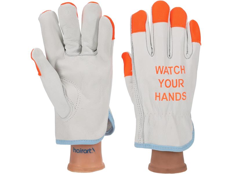 PRO SAFE INC 68-165HV/XS