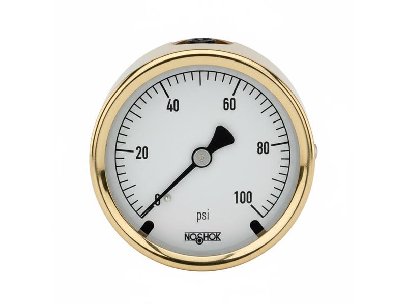 NOSHOK 25-310-100-PSI/BAR-SL