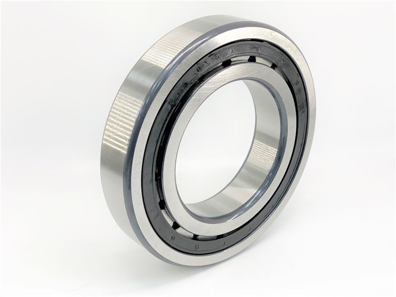 NJ219-E-TVP2 by SCHAEFFLER GROUP