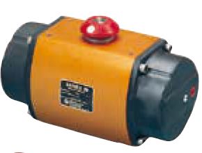 20F39SN by FLOWSERVE