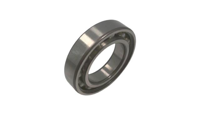 SCHAEFFLER GROUP 6008