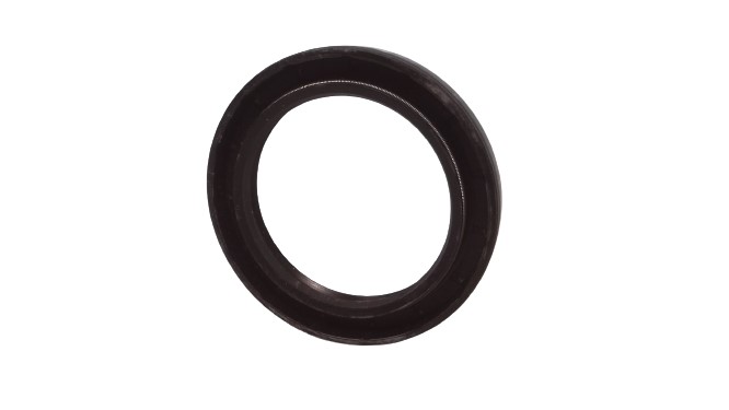 FREUDENBERG 20273TC-BX