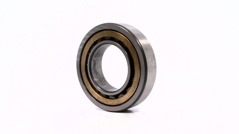 SCHAEFFLER GROUP NU209-E-M1-C3