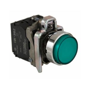 SCHNEIDER ELECTRIC ZB4AEQ3820