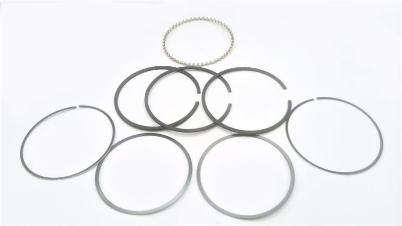 INDEPENDENT COMPONENTS CORP RK-8166SS-Q