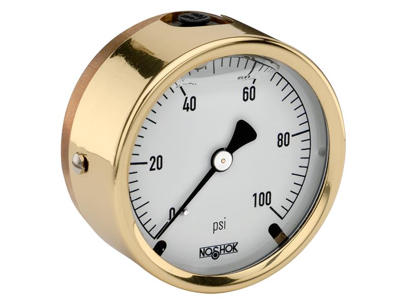 NOSHOK 25-310-600-PSI