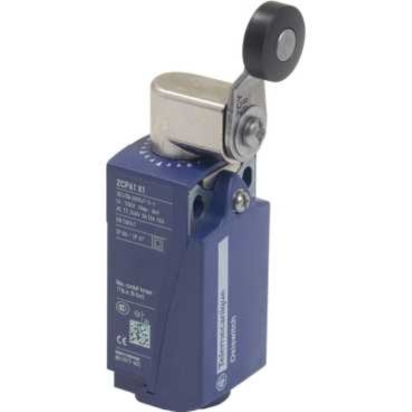 SCHNEIDER ELECTRIC XCKP6118G11X1