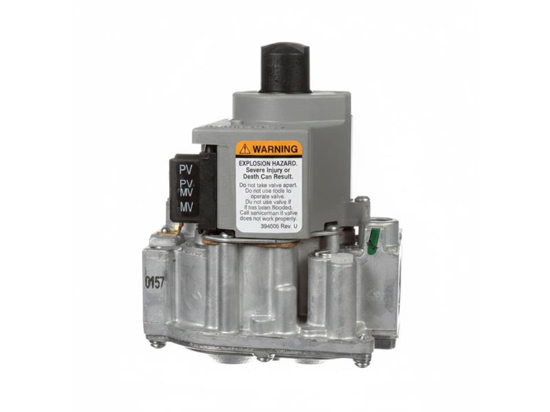 100172022 by AO SMITH WATER HEATERS
