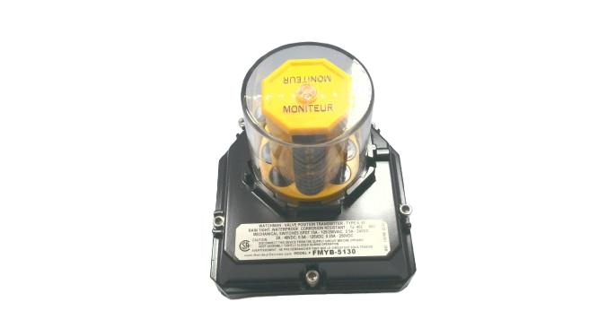 MONITEUR DEVICES FMYB-5130