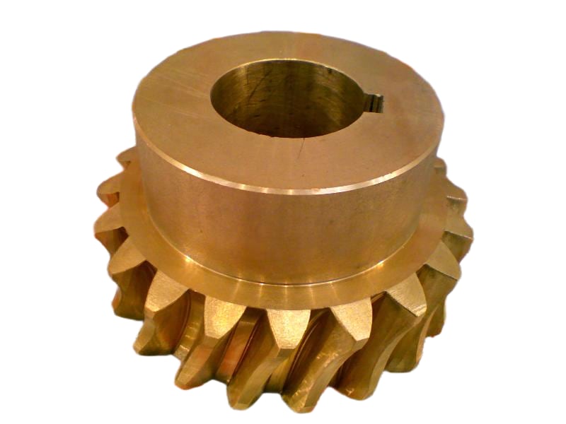 GLOBE GEAR 5334614