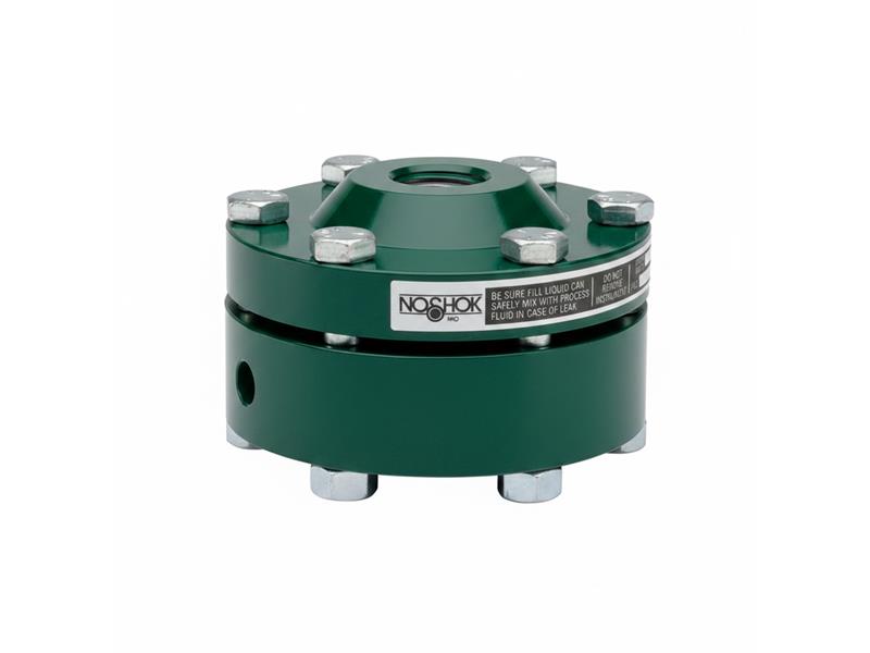 NOSHOK 30-02C-S-V-06S