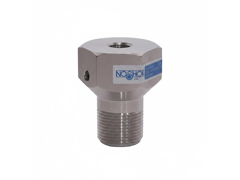 NOSHOK 10-04C-S-T-04S-2F-P