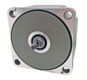 ORIENTAL MOTOR BLM5120P-GFV2