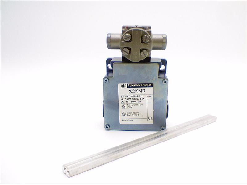 TELEMECANIQUE SENSORS XCKMR54D1