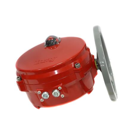 700301-113G0536/K by BRAY