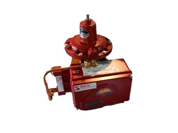 BADGER METER SRD991-BDNS6FAANY-V02