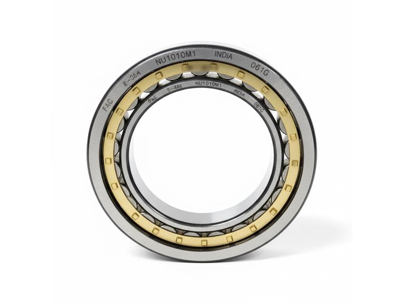 SCHAEFFLER GROUP NU1010-M1