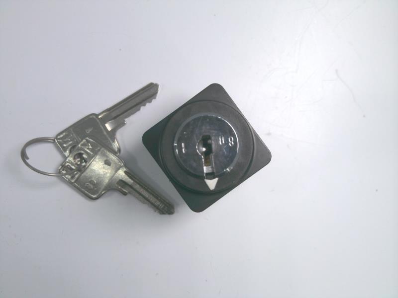 SCHNEIDER ELECTRIC 9001-D1L30