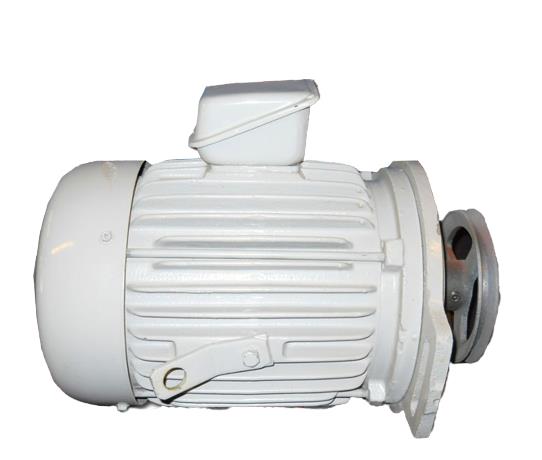 TECO-WESTINGHOUSE AEVF