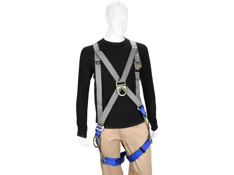 PRO SAFE INC PS-HPT-30