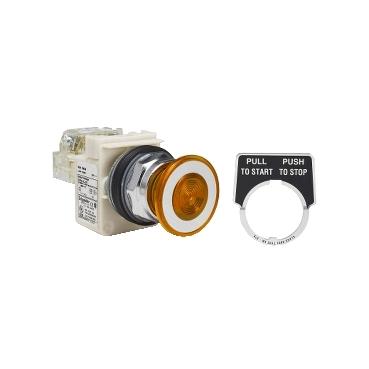 SCHNEIDER ELECTRIC 9001-SKR8P35LGG