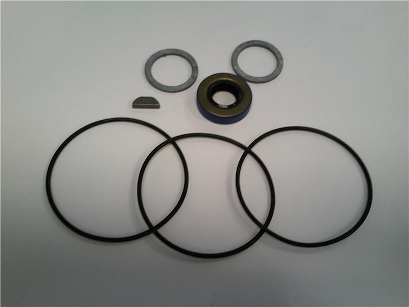 VIKING PUMP V43-464-SEAL-K193