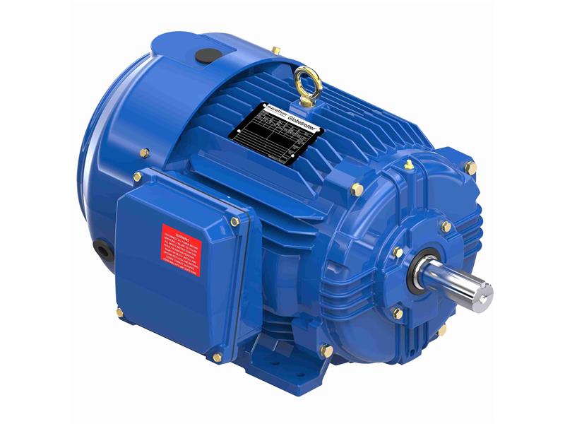 REGAL REXNORD 213TTFCD6530