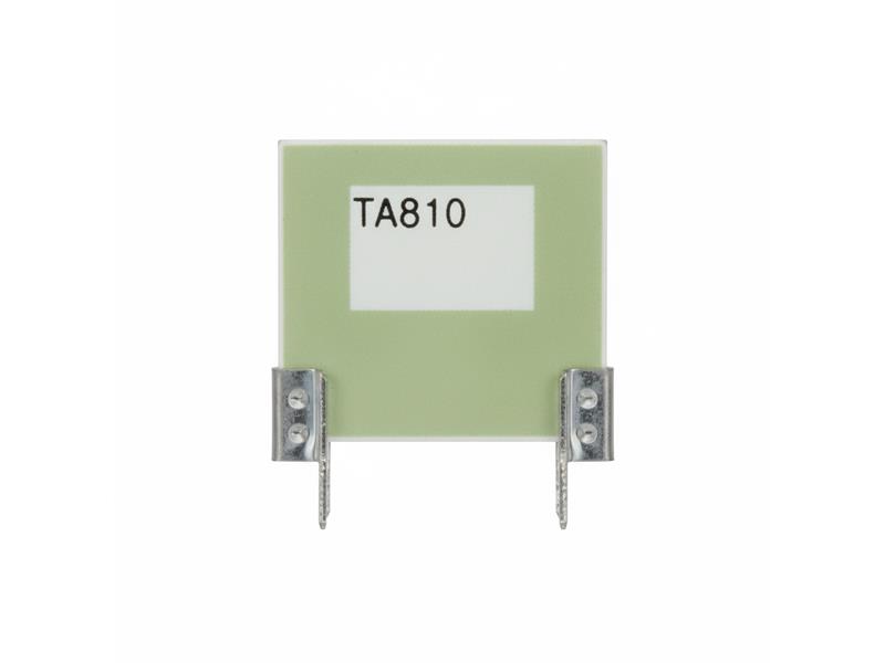 OHMITE TA810PW100RJE