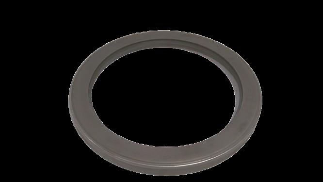 NATIONAL OIL SEALS 455122