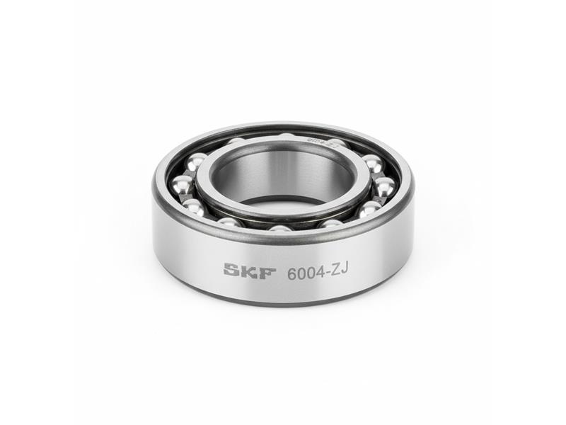 SKF 6004-ZJ