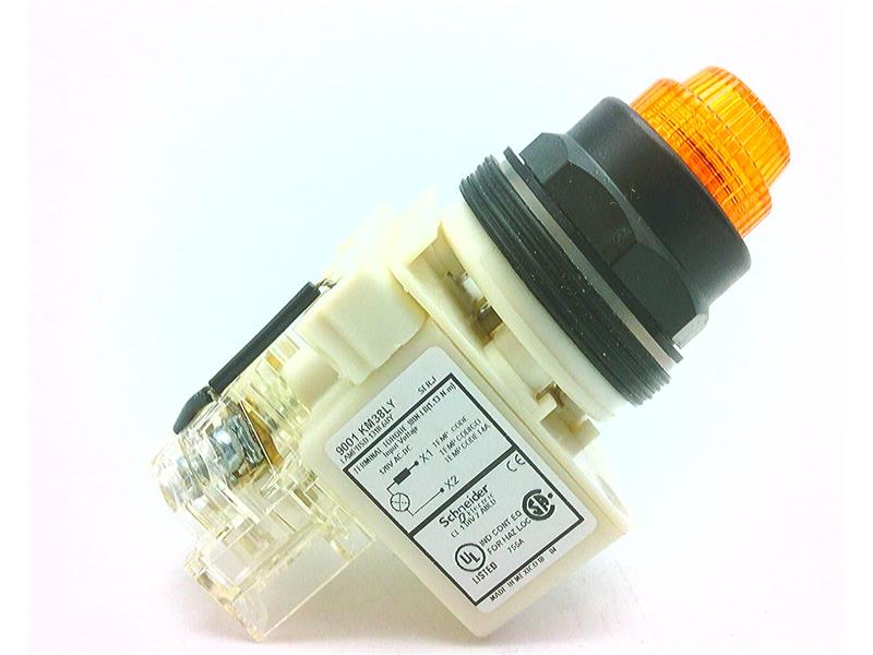 SCHNEIDER ELECTRIC 9001-SKT38LYA31