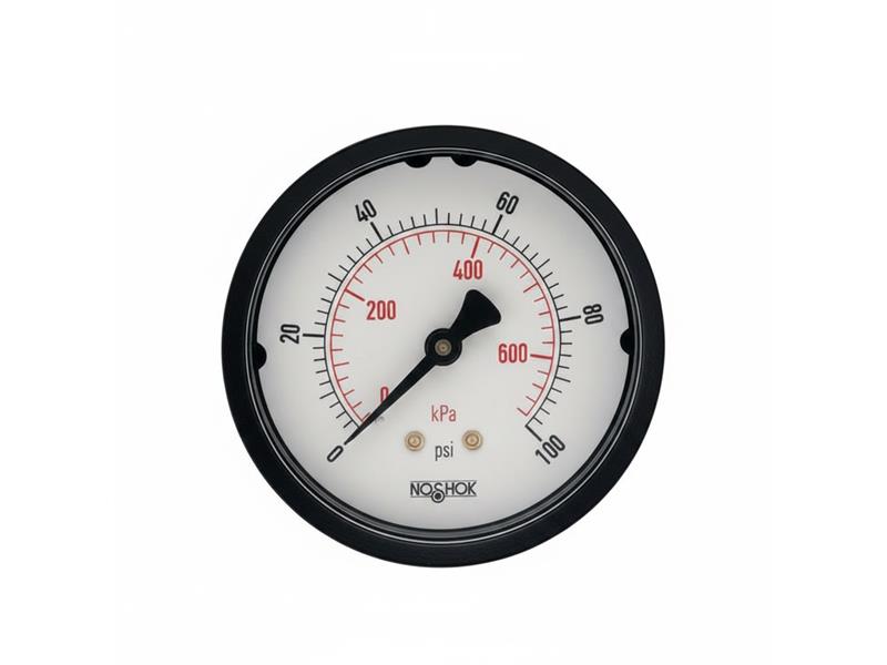 NOSHOK 25-110-6000-PSI/KPA-BLFF