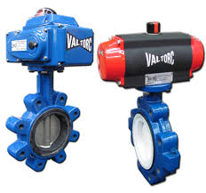 VALTORC 5"-S1000-CI-WF-SS-EPDM-MH