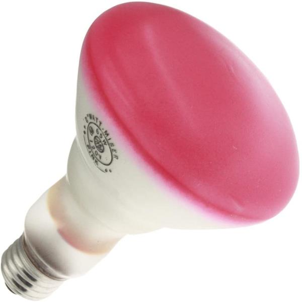 75R30/A/FL by ANGELO BROTHERS COMPANY